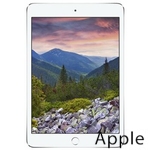 Ремонт Apple iPad mini 3 в Ярославле